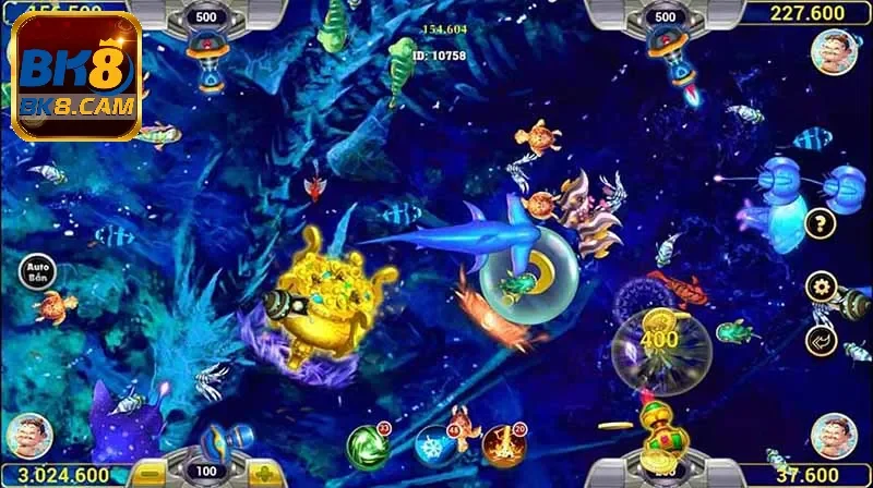 Đa dạng nhiều loài cá sinh động