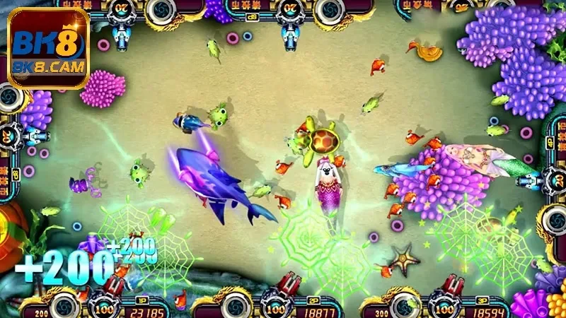 Quan sát và ngắm chuẩn mục tiêu