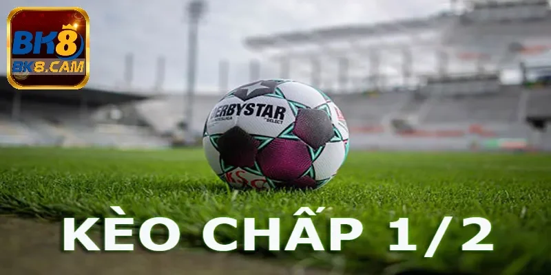 kèo chấp 1/2 tại Bk8