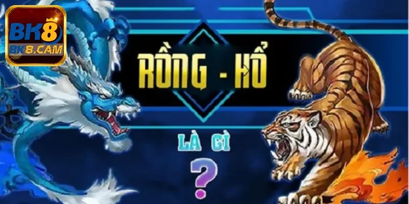Rồng Hổ bk8