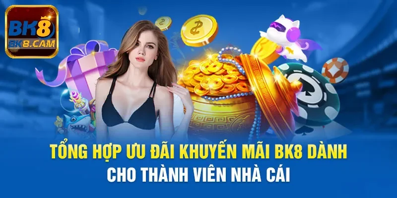 Ưu đãi dành cho các thành viên tại Bk8